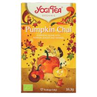 Pumpkin Chai bio 17 sachets