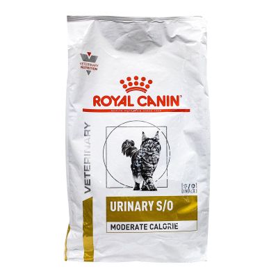 Les Croquettes Pour Chat Gastro Intestinal Royal Canin Sont Des Aliments Dietetiques Complets